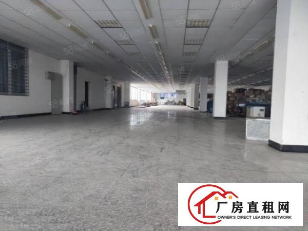  凤岗凤德岭独院6000平方！形象靓丽！内部现成装修