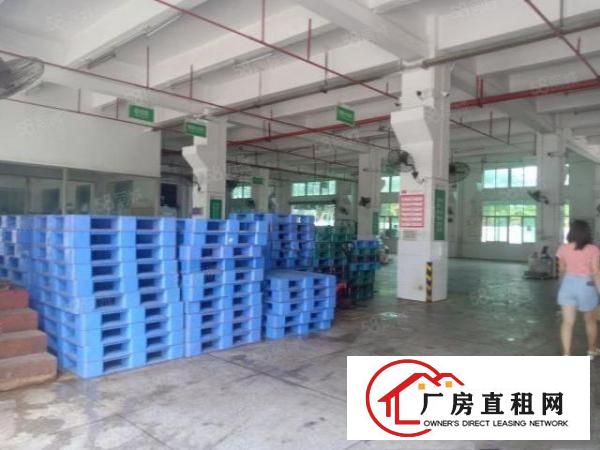  凤岗临深附近成熟工业区1楼3200平方，消防喷淋，7米高