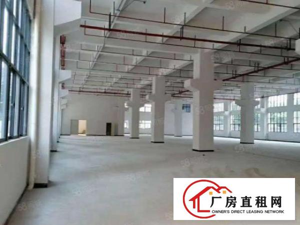  凤岗临深附近成熟工业区1楼3200平方，消防喷淋，7米高