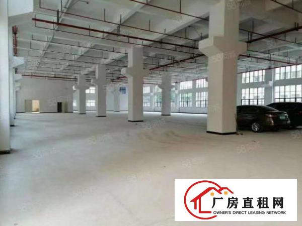  凤岗临深附近成熟工业区1楼3200平方，消防喷淋，7米高