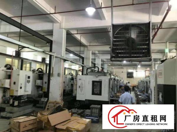  凤岗独院厂房出租）金凤凰工业区5000平米1~4层独院厂房