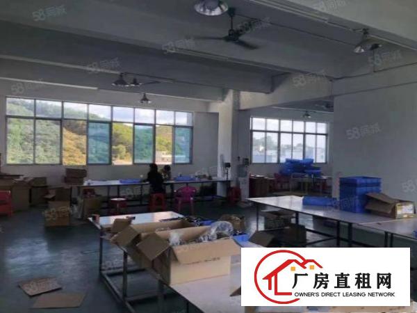  凤岗独院厂房出租）金凤凰工业区5000平米1~4层独院厂房