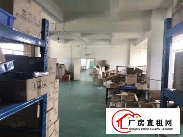  凤岗独院厂房出租）金凤凰工业区5000平米1~4层独院厂房