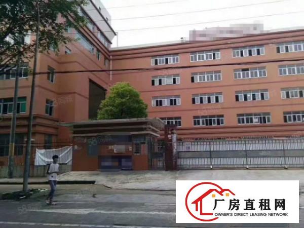  凤岗雁田楼上新出3000平精装修厂房出租园区空地超大