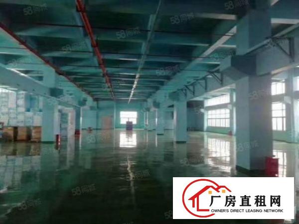  凤岗镇标准一楼厂房4600滴水7米带牛角装修水电现成行车分租
