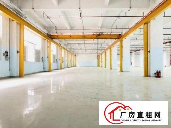  凤岗镇标准一楼厂房4600滴水7米带牛角装修水电现成行车分租