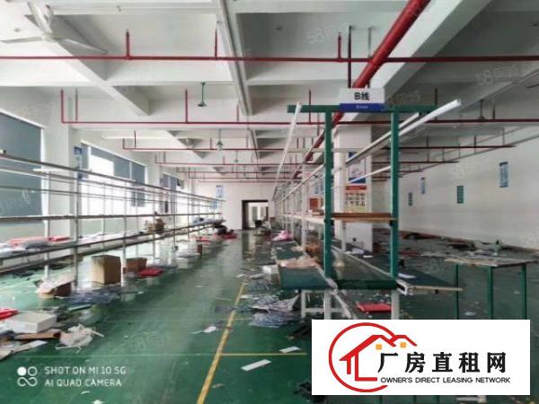  凤岗1500平整层精装修招租，原房东分租实际面积