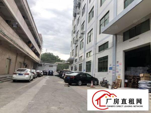  凤岗五联近平大路一楼450平方五金客户的福音