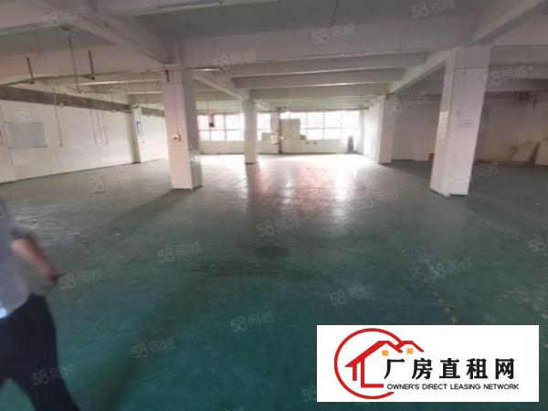  凤岗五联村委厂房楼上5600平精装修厂房出租200起分