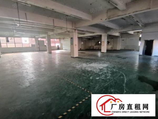  凤岗五联村委厂房楼上5600平精装修厂房出租200起分