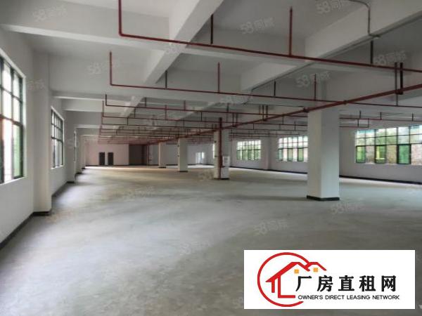  全新独院12000平方厂房火爆招租(可分层出租）