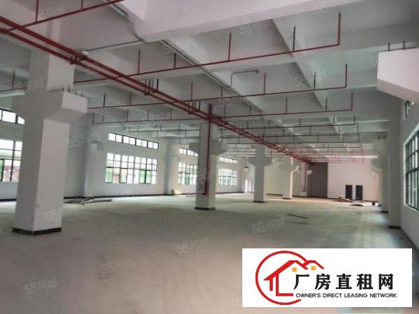  全新独院12000平方厂房火爆招租(可分层出租）