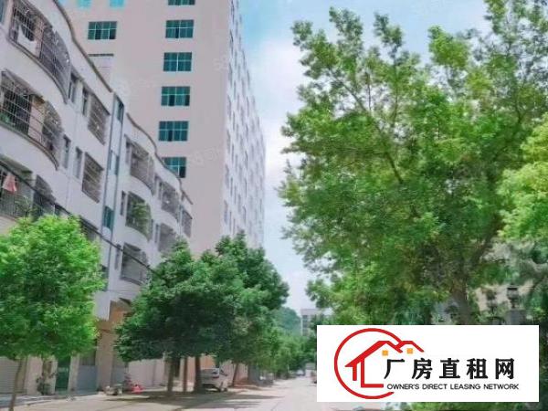  七个现成行车2000平方一楼