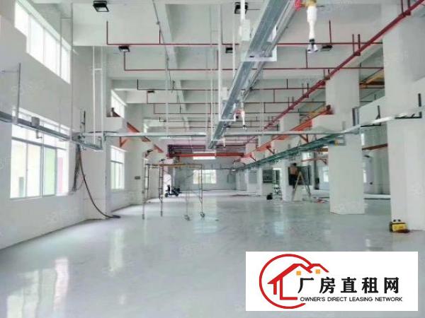  七个现成行车2000平方一楼