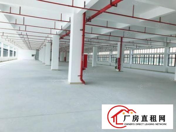  凤岗镇.雁田新出8000独门独院厂房可分租人气旺好招工配电大