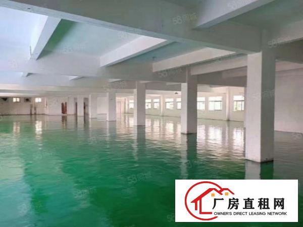  凤岗五联全新工业厂房2楼2200平全新地坪漆采光通透