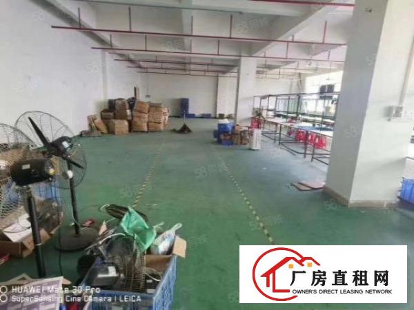  凤岗金凤凰楼上660平，可做手工电子加工，位置好，好招工