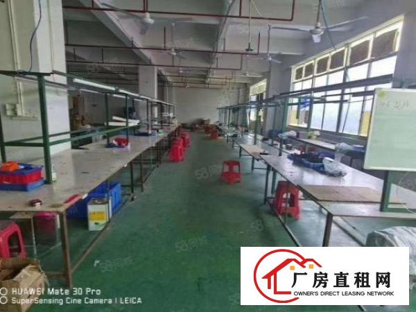  凤岗金凤凰楼上660平，可做手工电子加工，位置好，好招工