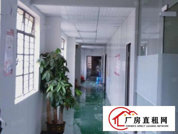  凤岗镇中心永盛大街300一500平米带精装修办公室水电地坪漆