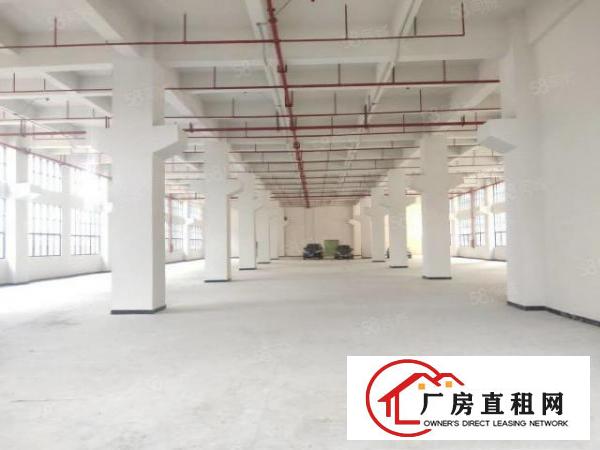  凤岗全新一楼7.5米高带牛角3000平方厂房整层出租可分租