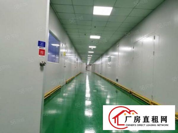  凤岗雁田布垅工业园新出一楼800平精装修带地坪漆无尘车间出租