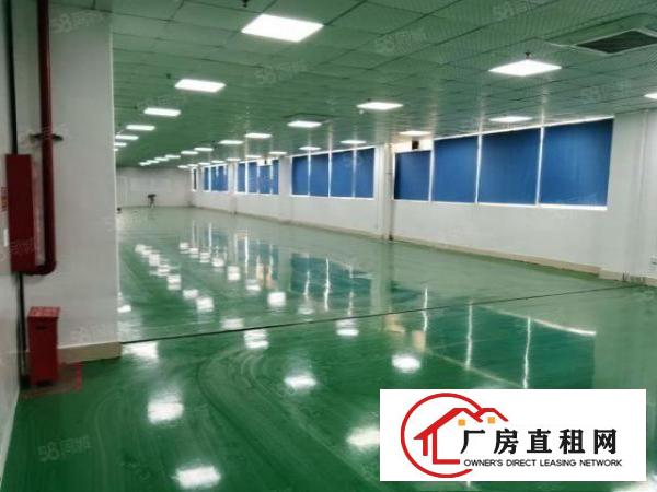  凤岗雁田布垅工业园新出一楼800平精装修带地坪漆无尘车间出租