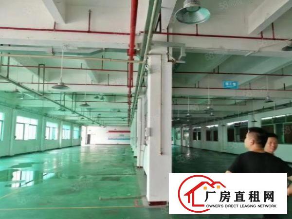  金凤凰一楼刚空出1200平方厂房出租