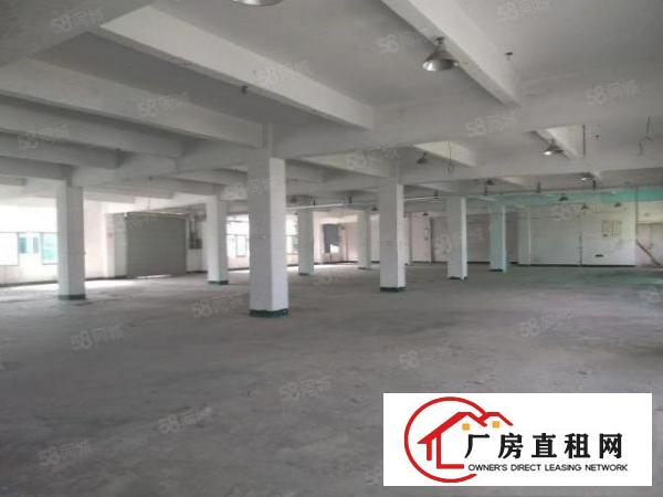  凤岗五联四楼整层1950平标准厂房出租内部形象佳带办公室
