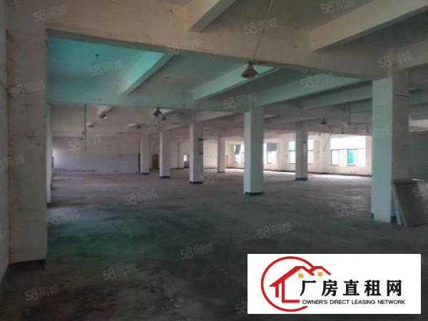  凤岗五联四楼整层1950平标准厂房出租内部形象佳带办公室