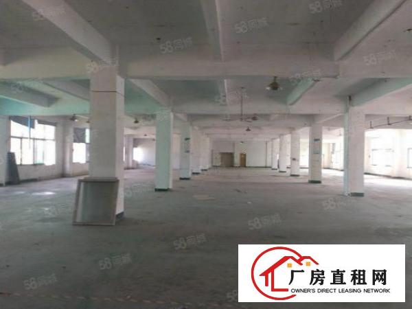  凤岗五联四楼整层1950平标准厂房出租内部形象佳带办公室