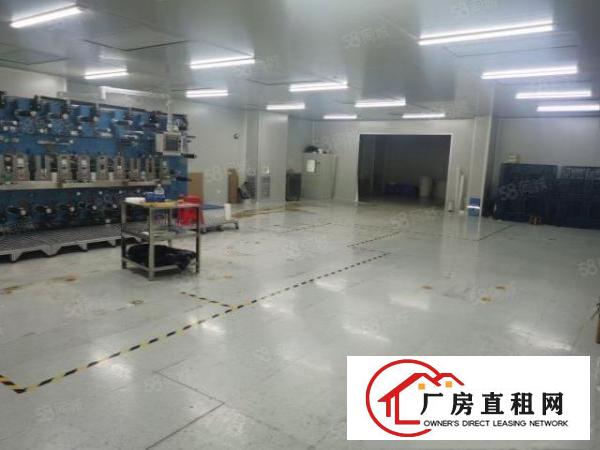  凤岗金凤凰二楼1500平精装修厂房出租可以分租原房东消防喷淋
