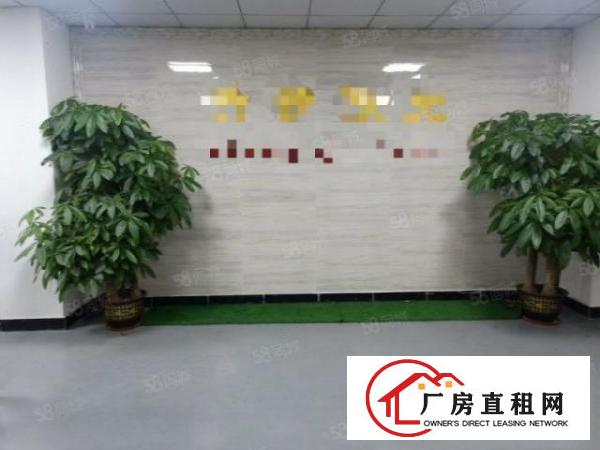  凤岗金凤凰工业园带精装修厂房楼上1200平方适合电子