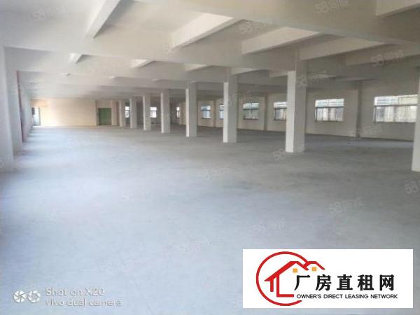 凤岗原房东独院厂房共7000平方（可分租）