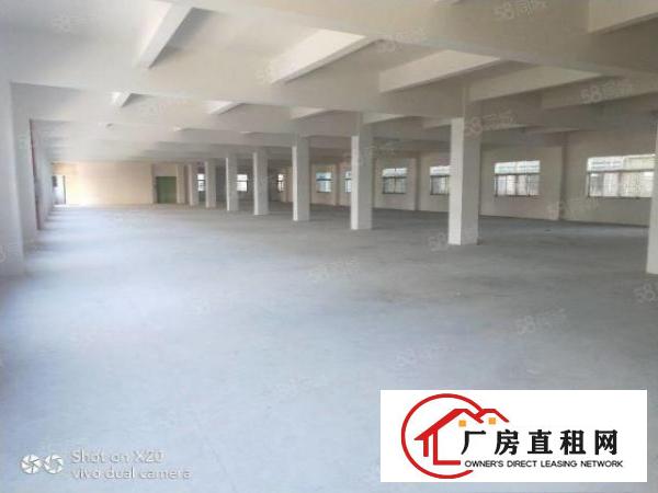  凤岗原房东独院厂房共7000平方（可分租）