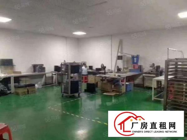  凤岗雁田新出楼上带精装修厂房500平方全部吊顶地坪漆