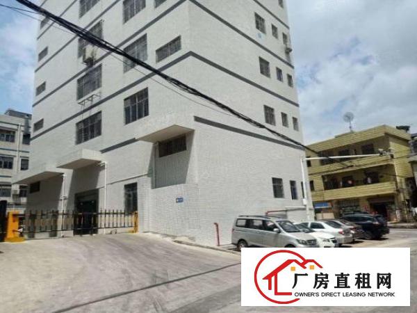  凤岗雁田新出楼上带精装修厂房500平方全部吊顶地坪漆