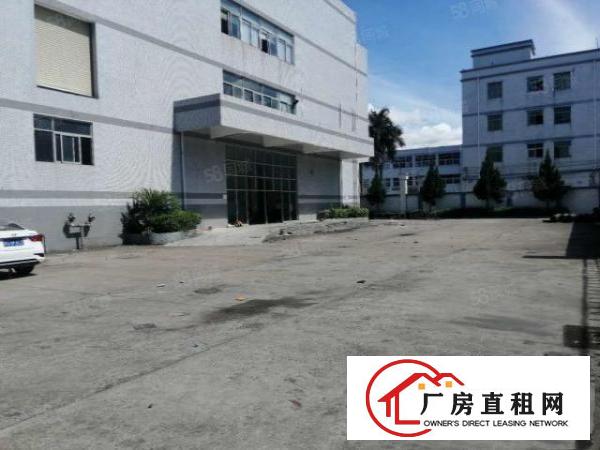 好招工凤岗楼上全新厂房出租1955平租金便宜大小分租