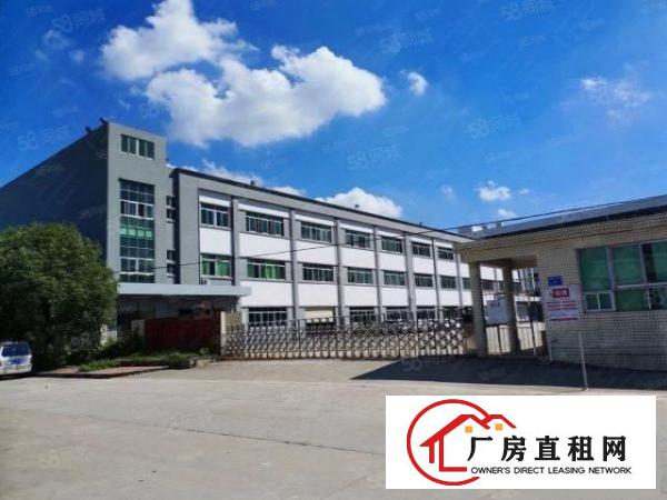  凤岗标准厂房800平带现成办公室水电已到车间