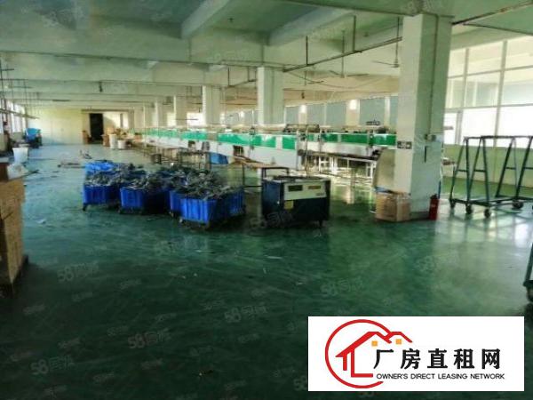  凤岗标准厂房800平带现成办公室水电已到车间