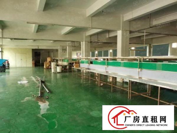  凤岗标准厂房800平带现成办公室水电已到车间