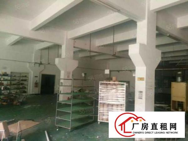  凤岗原房东独院厂房5000平方（可分层租）