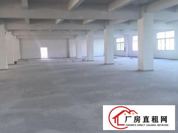  凤岗原房东独院厂房5000平方（可分层租）
