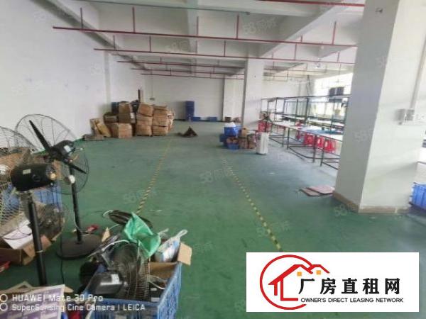  凤岗金凤凰楼上带装修拉线适合电子组装加工厂房出租