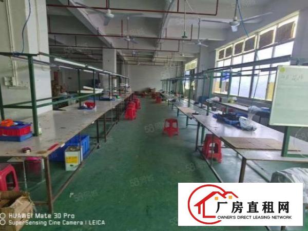  凤岗金凤凰楼上带装修拉线适合电子组装加工厂房出租