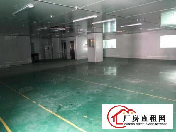  凤岗金凤凰工业区1000平方原房东出租带精装修办公室