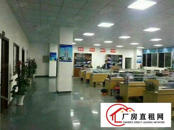  凤岗金凤凰工业区1000平方原房东出租带精装修办公室