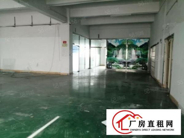  凤岗金凤凰工业区1000平方原房东出租带精装修办公室