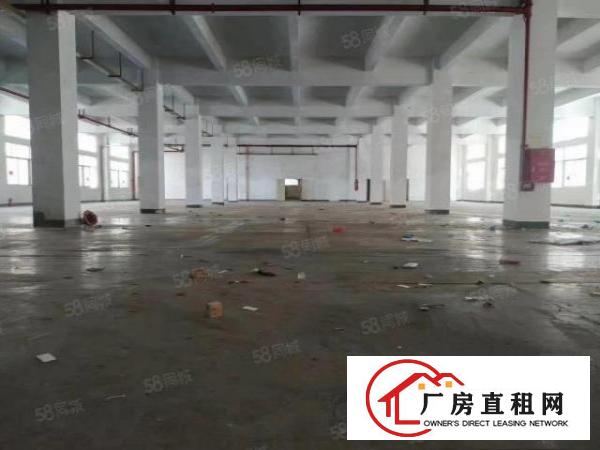  凤岗镇成熟工业区新空出花园式独门独院8500平方，空地超大