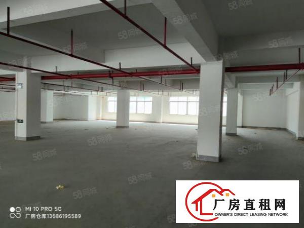  凤岗.主干道边原房东无公摊楼上2100平方交通便利价格实惠