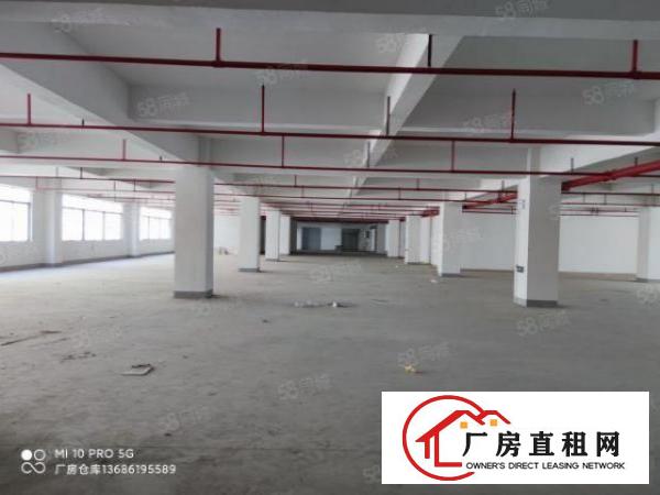  凤岗.主干道边原房东无公摊楼上2100平方交通便利价格实惠